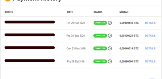 CryptoTab Browser Ödeme Kanıtı
